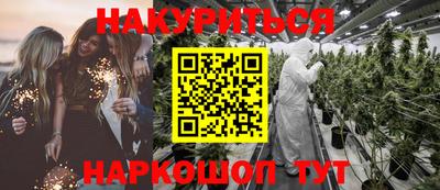 Альфа ПВП Моздок